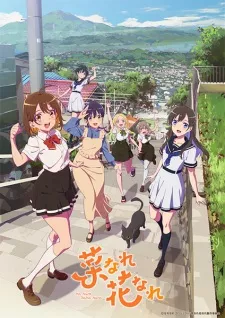 Na Nare Hana Nare Episode 7